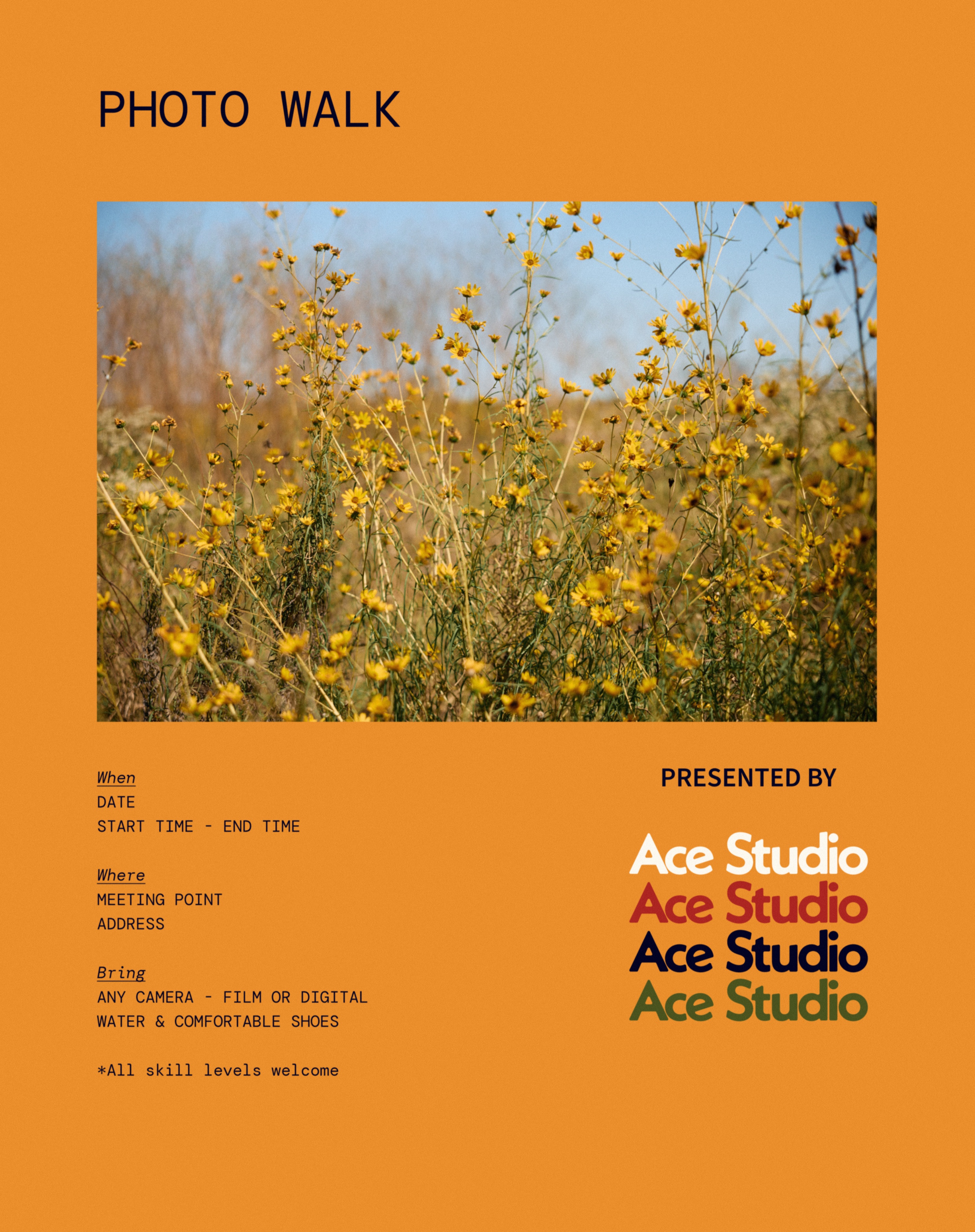 Photo Walk flyer: when, where, and what to bring details for the Ace Studio photo walk.